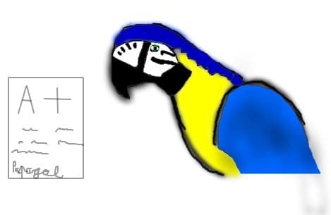 iulianpreda00