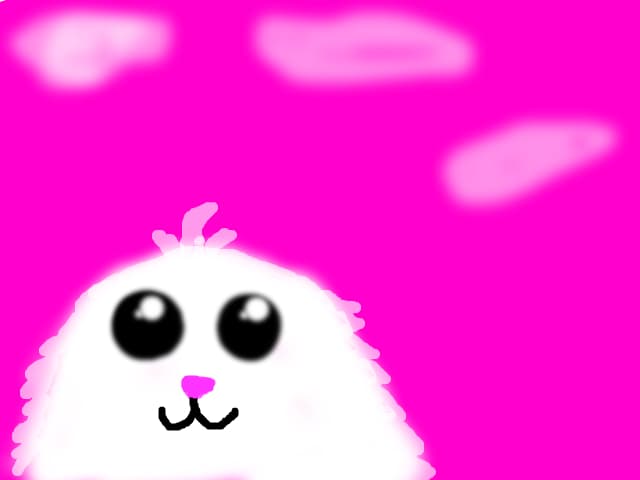 pufulet-andreea07