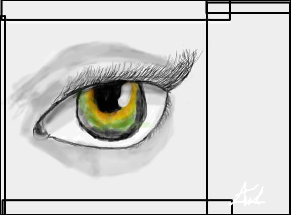 What do you look?