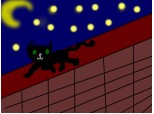 The black cat in the night