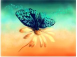 Teal butterfly