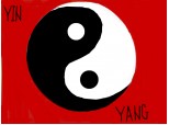 yin & yang