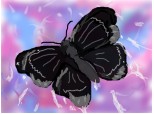 a black butterfly change a color world