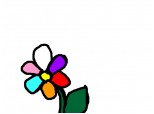 Floarea multi-colora