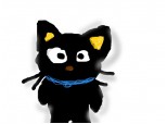 Black Cat..