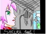 Sakura shippuuden