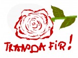 Trandafir de la Moldova!