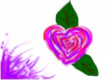 Love...heath-rose