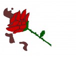 chocolate rose