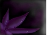 Purple fresh flower
