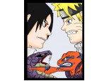 Sasuke VS Naruto ....cine castiga ???