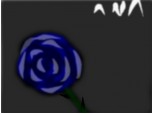 blue rose, the tear of a vampire