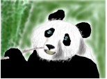 panda(retusat)