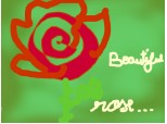 Beautiful rose-Trandafir