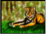 Bangal tiger