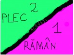 2 PLec 1 Raman