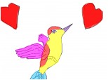 pasare colibri