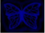 mistic butterfly