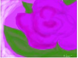 Light Purple Rose....