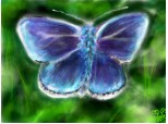blue butterfly..mdeah:))[[modificat,srry de resave:(]][[app:MARE:D]]