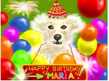 Happy Birthday Maria!
