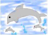 delfinasi
