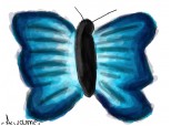 blue butterfly...