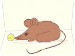 litle mouse