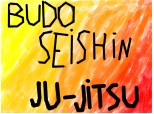 fac ju-jitsu (karate) sunt la clubul budo seishin , dau de centura portocalie pe data de 3 iulie