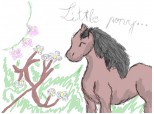 Little pony..