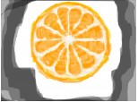 portocala retusata