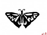 Un fluture