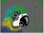 Papagalul meu-Rocky