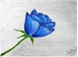 blue rose....din imagintie...(stiu ca nu seama.. >.>..)