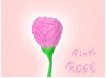 Pink ROSE ...