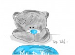 Tatty Teddy x