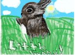 Little bunny (Dora)