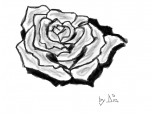 Trandafir ;))
