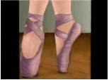 pantofi de balet