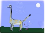 girafa face caca