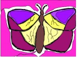 fluture schita colorata