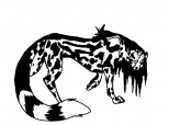 death cheetah