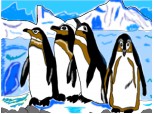 4 pinguini fff dragalashi