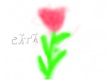un trandafir (si un scris 3d :)) )