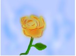 The golden rose