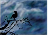crows_in_the_rain