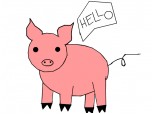 hello pig