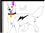 Bolt23
