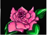 Pink^rose