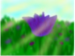 Floare violet